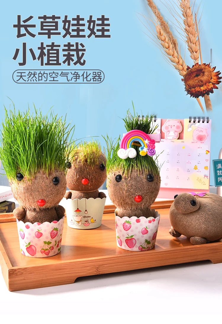 Decoração do quarto casa diy decoração pequena cabeça de grama crescente planta bonito presente das crianças varanda interior va