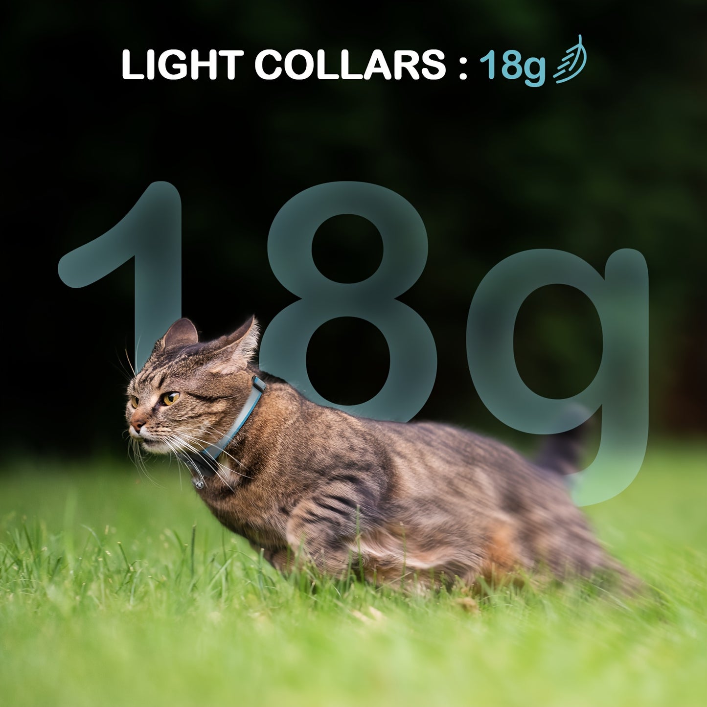 Breakaway AirTag Cat Collar With Reflective Luminous Strap | Lightweight, Safety Elastic Band For Kittens | Hidden GPS Tracker Holder For Apple AirTag (Blue, Adjustable 9"-14")