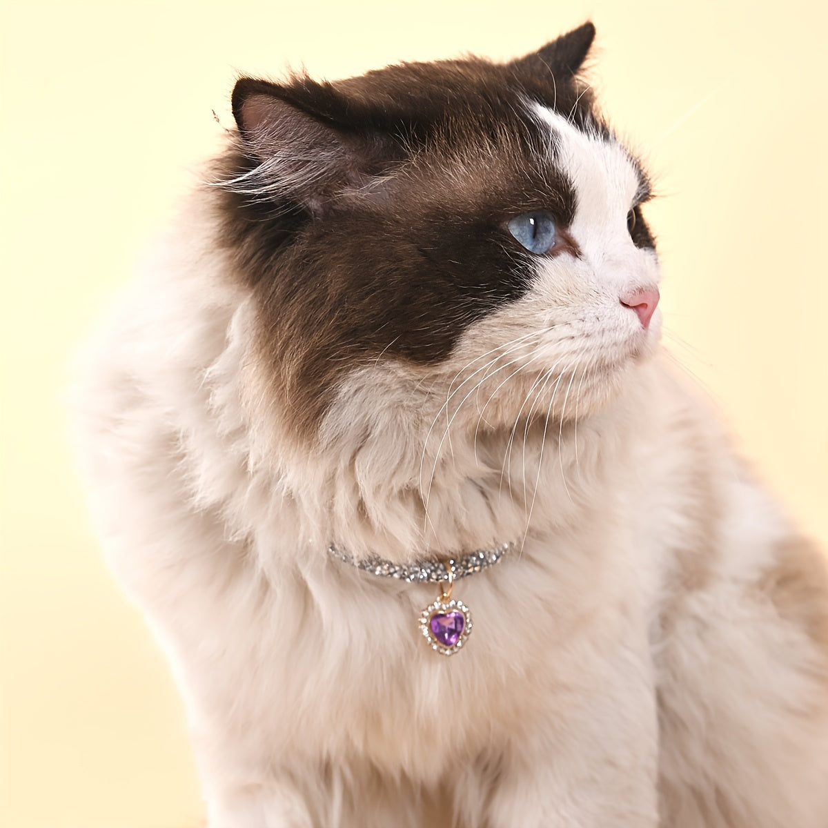 Elegant Faux Pearl & Ribbon Bow Cat Collar - Charming Pet Necklace Accessory, Pet Collar Necklace, 1pc