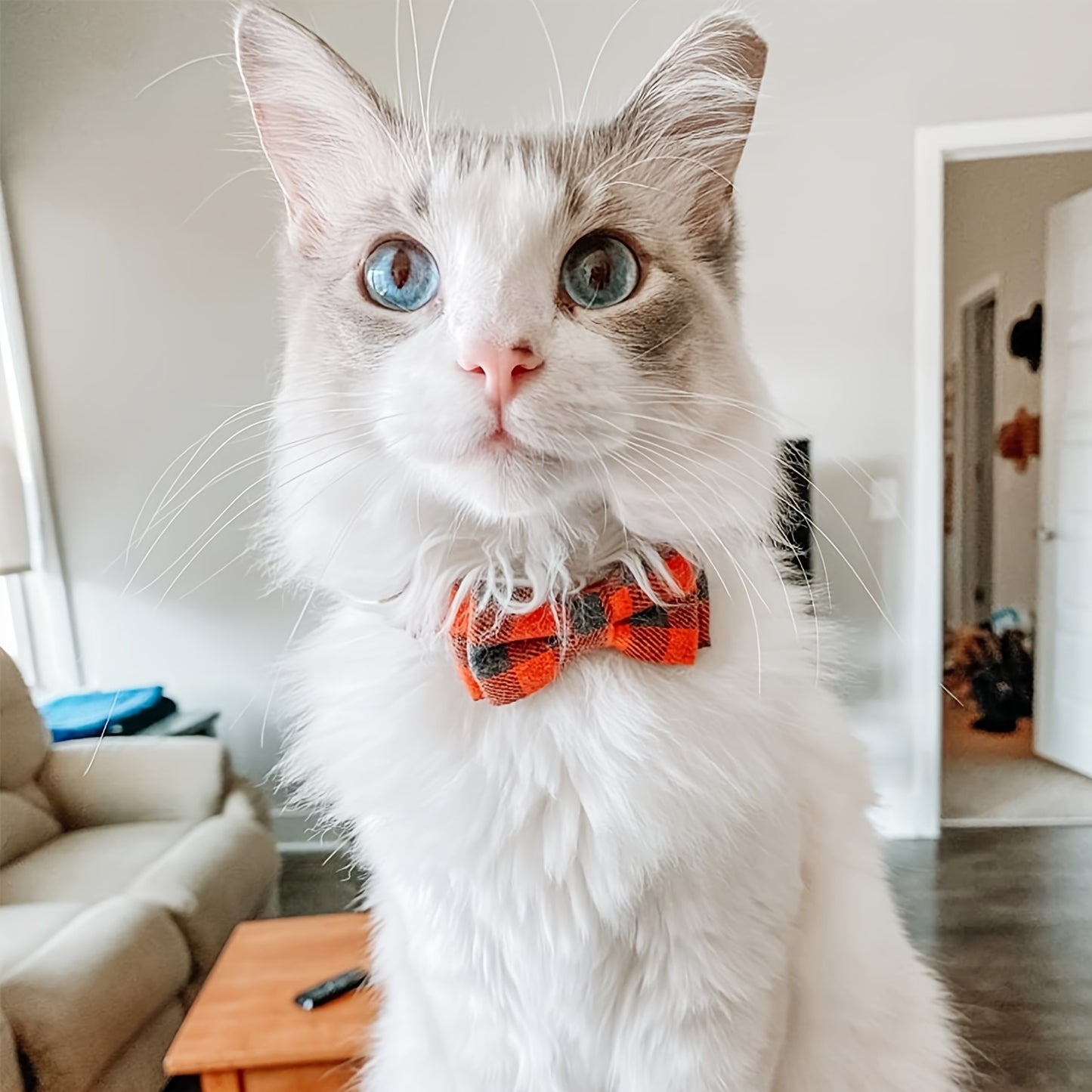 Adorable Plaid Cat Collar with Bow Tie - Adjustable, Comfortable, and Stylish Polyester Collar for Cats - Perfect Pet Supplies for Your Feline Friend