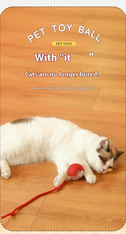 Interactive Toy Ball for Cats Cat Toys Interactive Automatic Electric Rolling Ball Toys Cats Pet Products Accessories Things