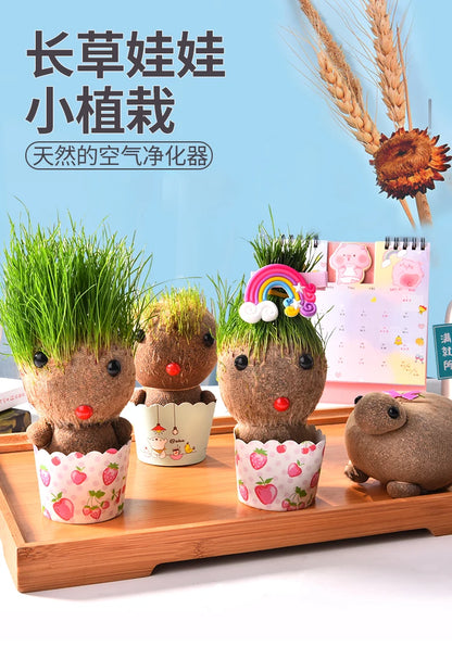 Decoração do quarto casa diy decoração pequena cabeça de grama crescente planta bonito presente das crianças varanda interior va
