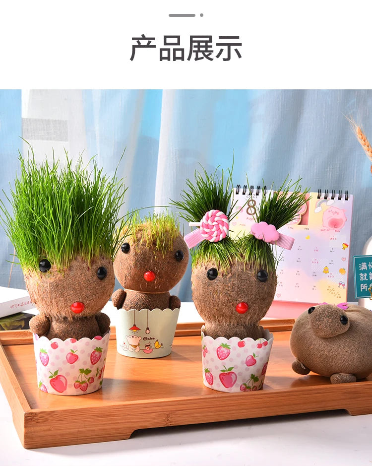 Decoração do quarto casa diy decoração pequena cabeça de grama crescente planta bonito presente das crianças varanda interior va