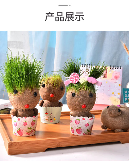 Decoração do quarto casa diy decoração pequena cabeça de grama crescente planta bonito presente das crianças varanda interior va