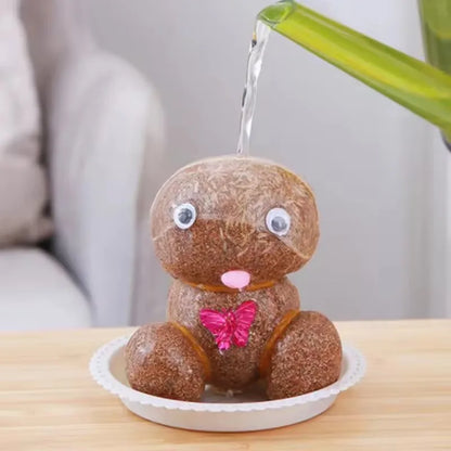 Decoração do quarto casa diy decoração pequena cabeça de grama crescente planta bonito presente das crianças varanda interior va