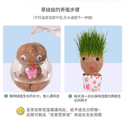 Decoração do quarto casa diy decoração pequena cabeça de grama crescente planta bonito presente das crianças varanda interior va