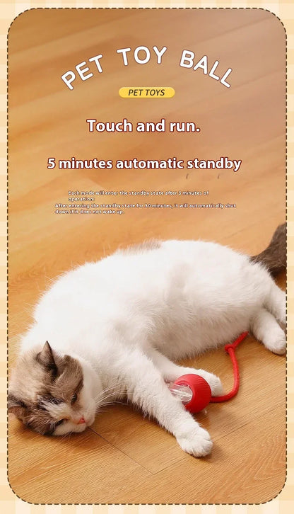 Interactive Toy Ball for Cats Cat Toys Interactive Automatic Electric Rolling Ball Toys Cats Pet Products Accessories Things