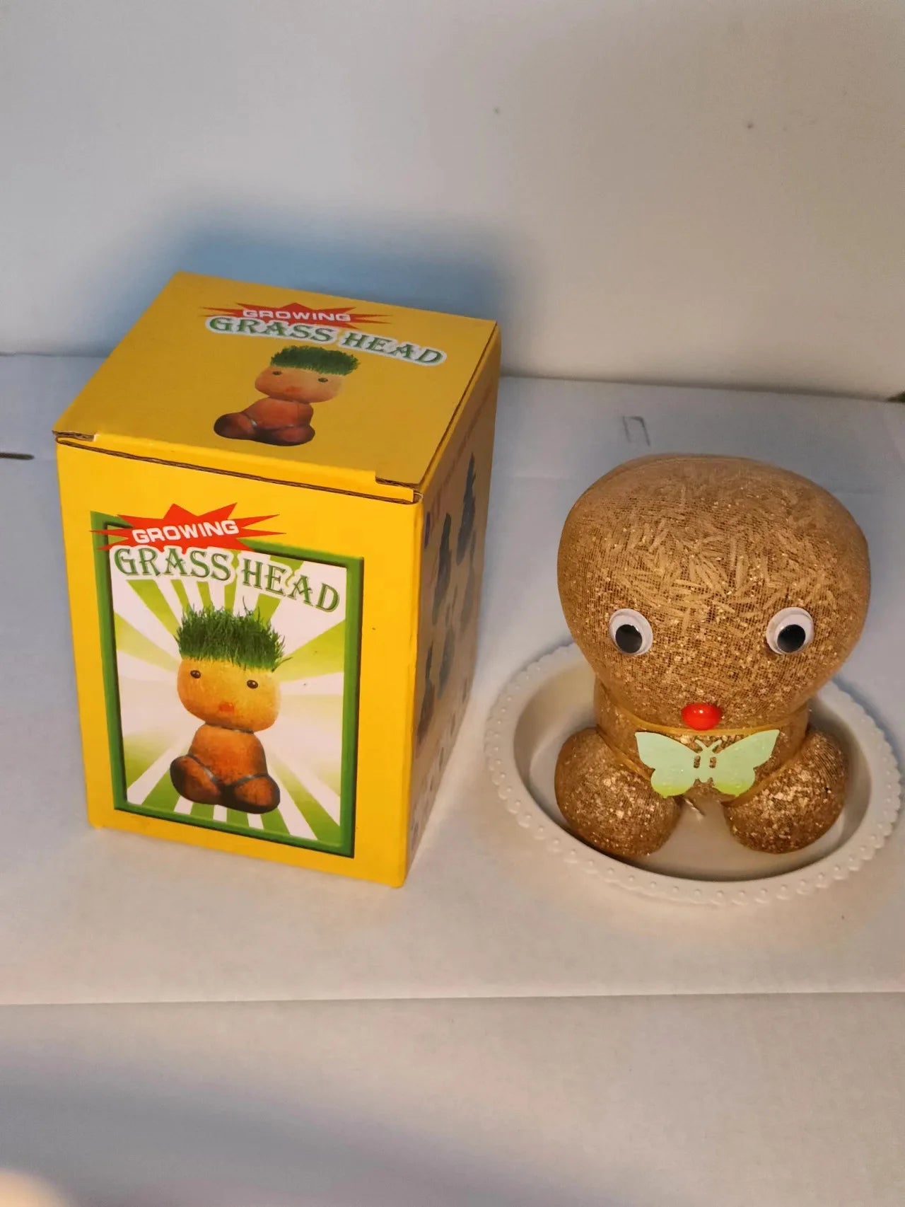 Decoração do quarto casa diy decoração pequena cabeça de grama crescente planta bonito presente das crianças varanda interior va