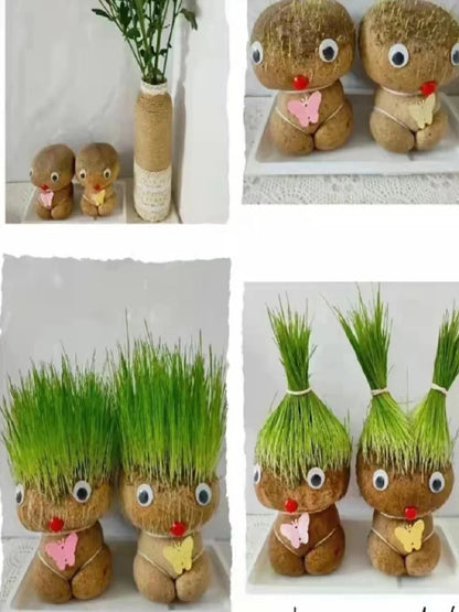 Decoração do quarto casa diy decoração pequena cabeça de grama crescente planta bonito presente das crianças varanda interior va