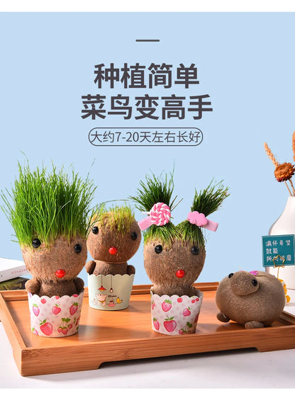 Decoração do quarto casa diy decoração pequena cabeça de grama crescente planta bonito presente das crianças varanda interior va