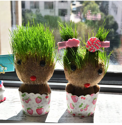 Decoração do quarto casa diy decoração pequena cabeça de grama crescente planta bonito presente das crianças varanda interior va
