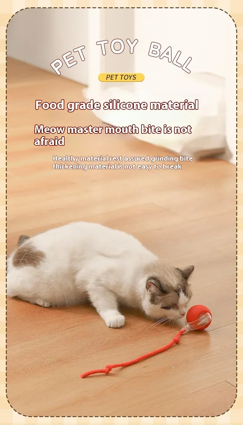 Interactive Toy Ball for Cats Cat Toys Interactive Automatic Electric Rolling Ball Toys Cats Pet Products Accessories Things