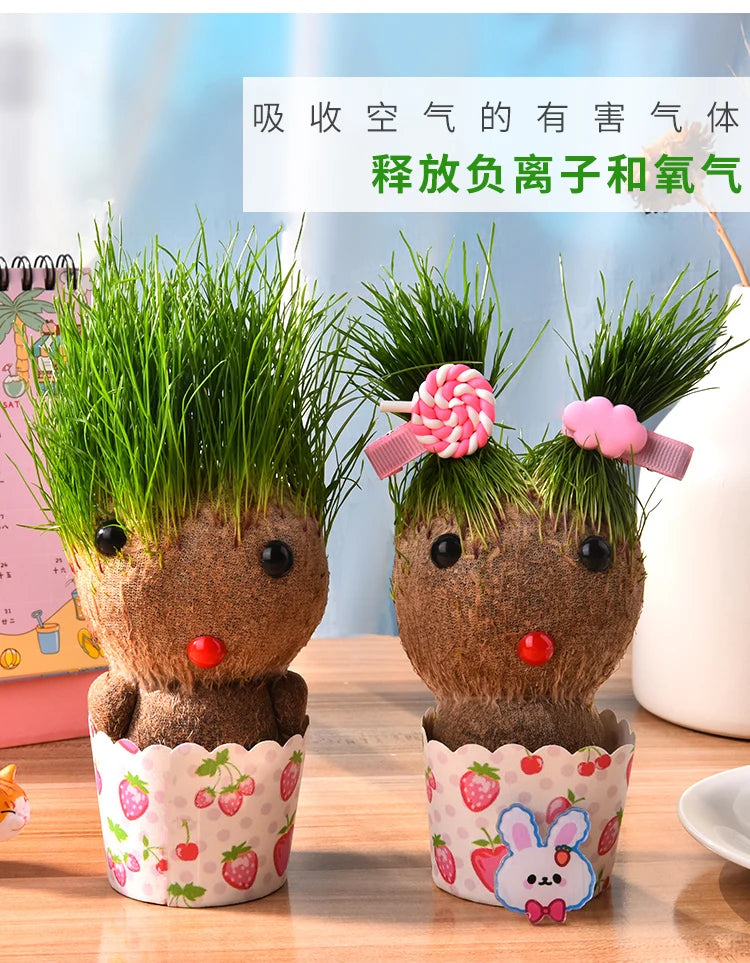 Decoração do quarto casa diy decoração pequena cabeça de grama crescente planta bonito presente das crianças varanda interior va