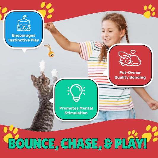 3/5 Pack Cat Toy Balls with Feather Tails - Stimulate Instinctive Play, Enhance Pet - Owner Bond