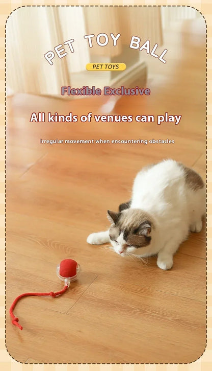 Interactive Toy Ball for Cats Cat Toys Interactive Automatic Electric Rolling Ball Toys Cats Pet Products Accessories Things