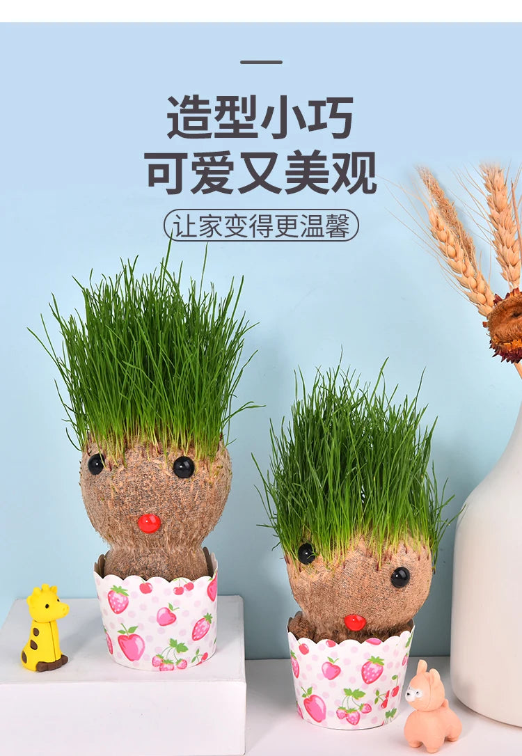 Decoração do quarto casa diy decoração pequena cabeça de grama crescente planta bonito presente das crianças varanda interior va