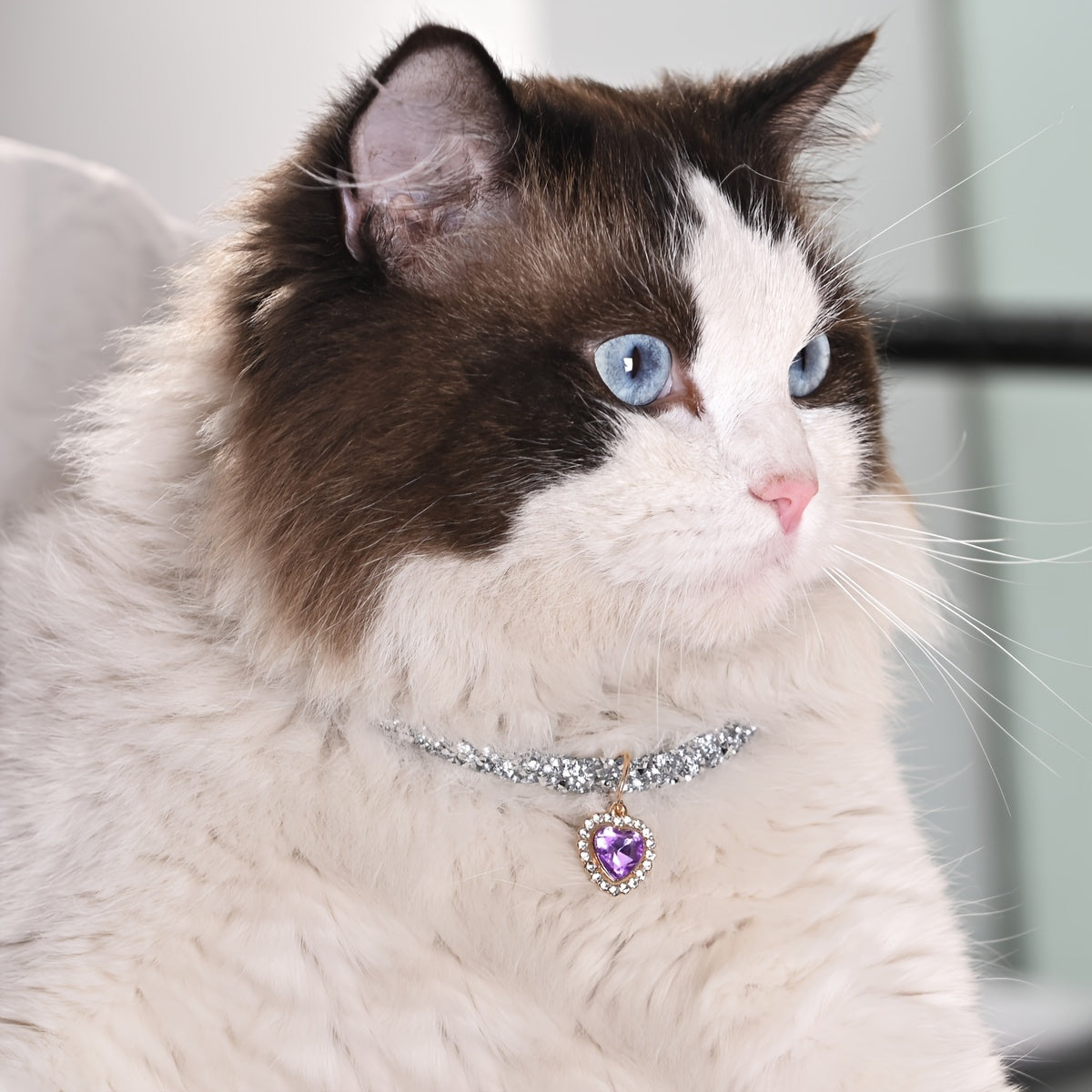Elegant Faux Pearl & Ribbon Bow Cat Collar - Charming Pet Necklace Accessory, Pet Collar Necklace, 1pc